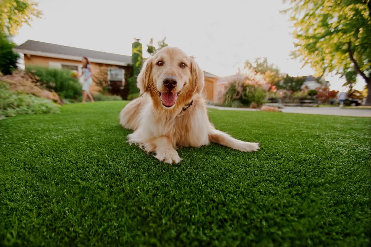 Artificial Grass Drainage Solutions